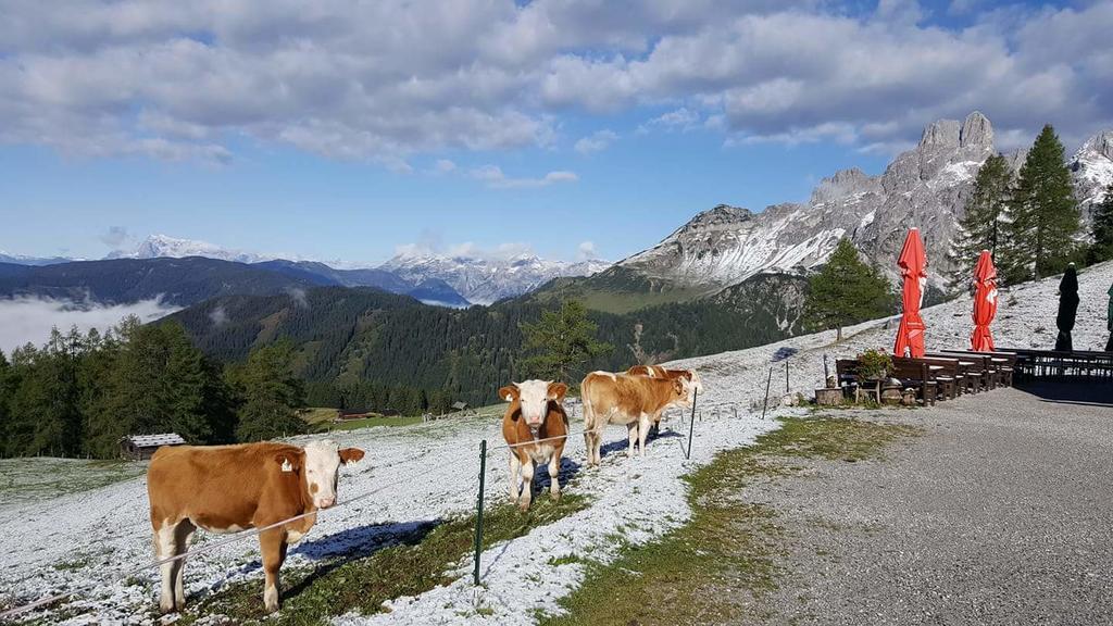 Appartamento Haus Birkenheim Filzmoos Esterno foto